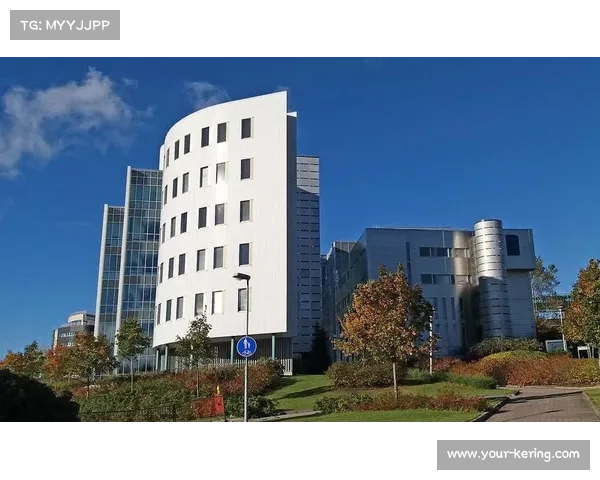 芬兰坦佩雷球场改建引发争议 环保组织抗议木材过度消耗